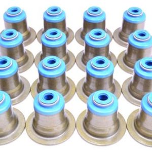BUY GSC 4B11 Evo X Valve Stem Seals (1010), a 16-piece Viton® seal set for 2008–2015 Mitsubishi Evolution X 4B11T performance engine builds.